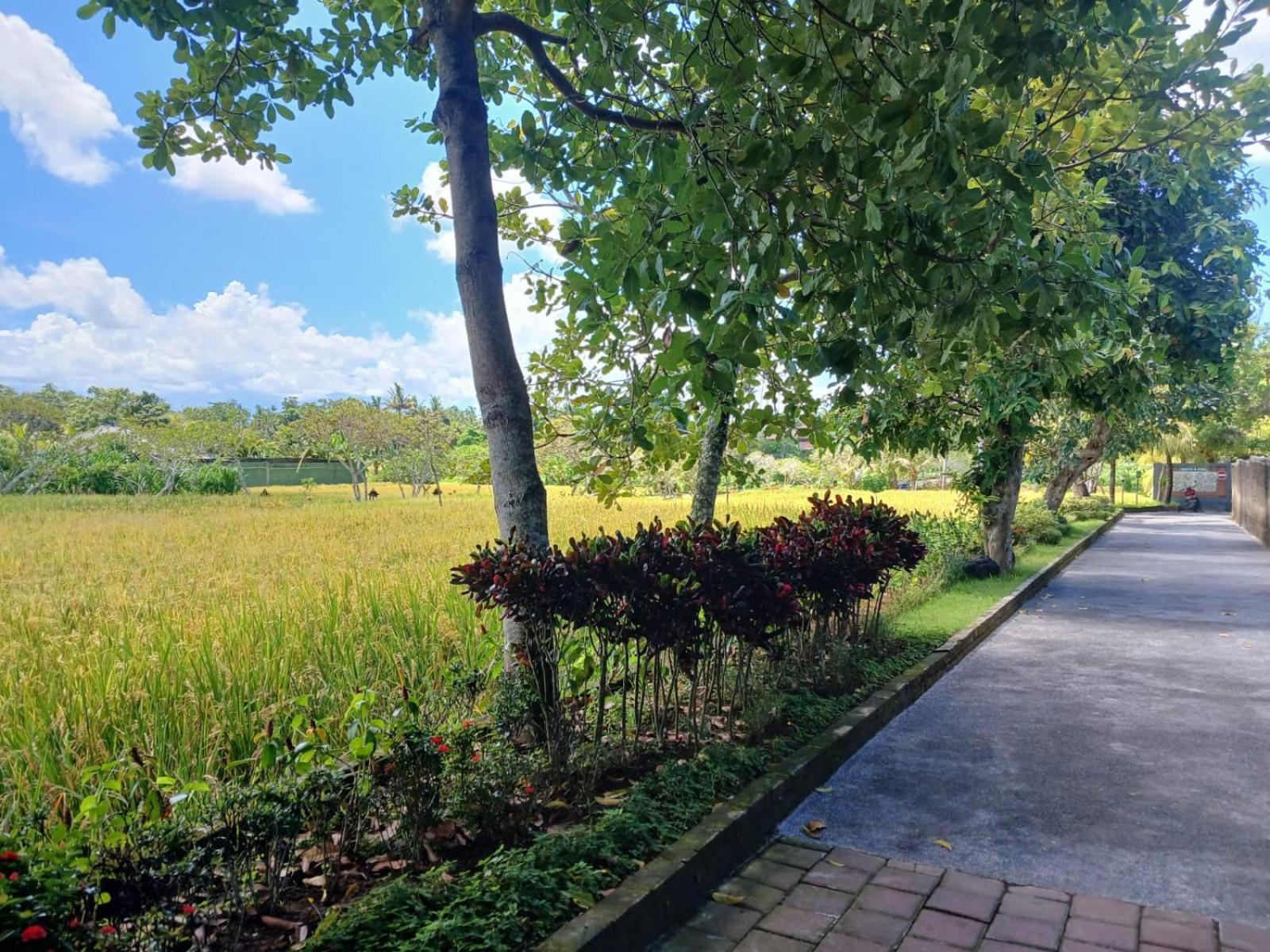 Kartika Dahayu Private Pool Villas Sukawati Dış mekan fotoğraf